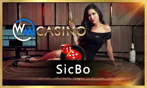 Exciting casino slot machines
